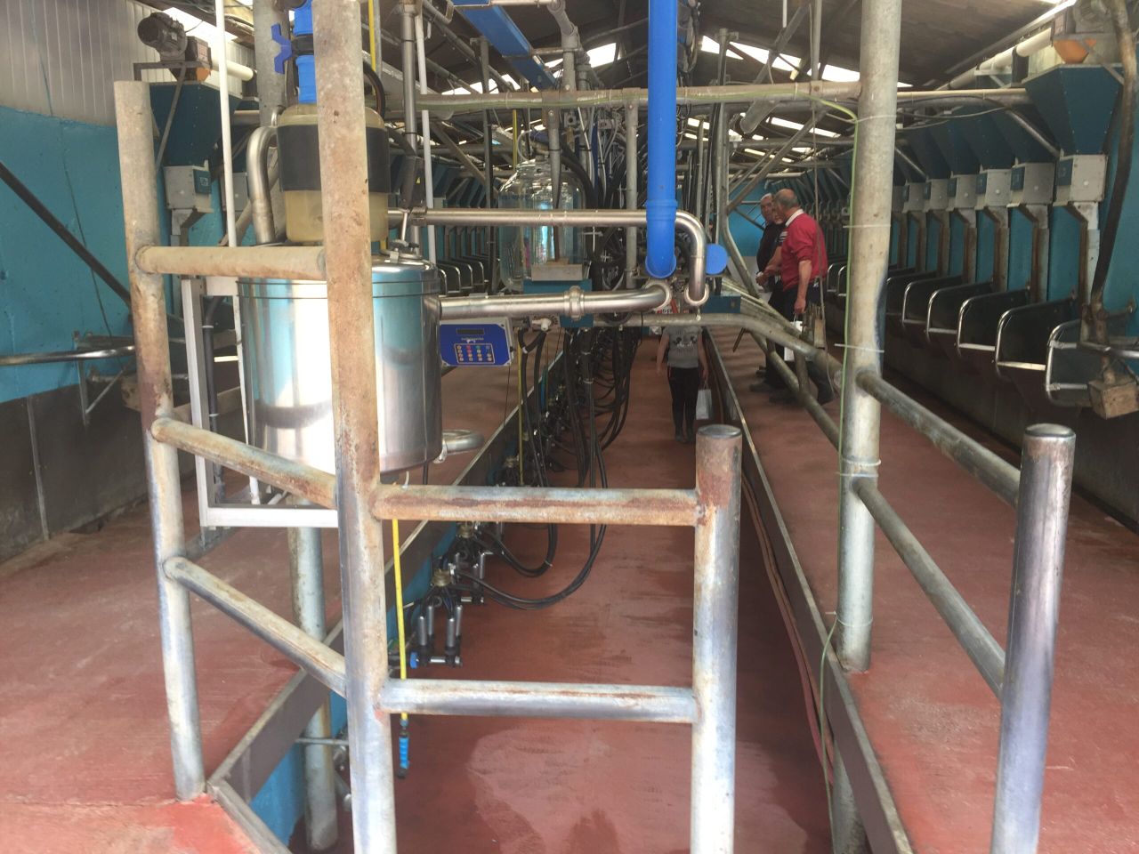 What to do if your bulk tank has been contaminated with antibiotic residues