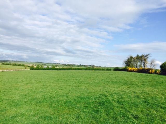 Sunny spells and scattered showers for the week ahead - Met Eireann
