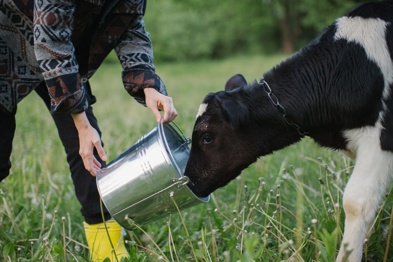 Trouw Nutrition unveils Ireland 'operational and delivery model'