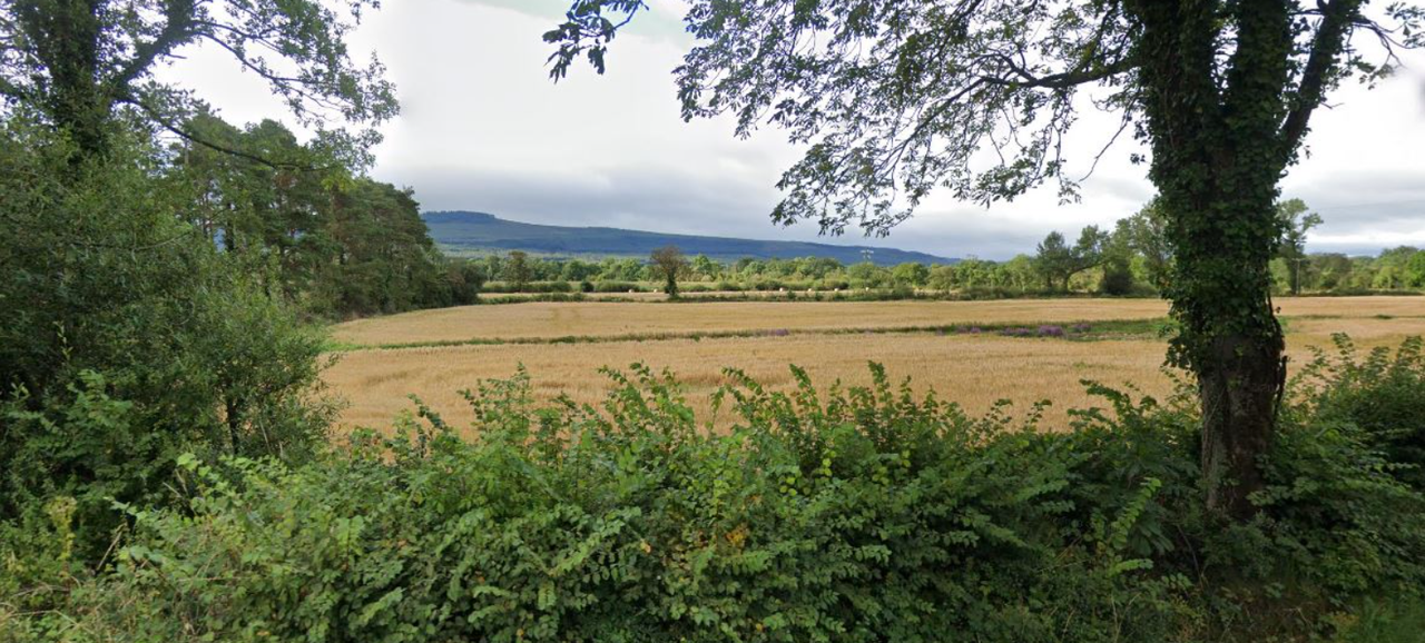 Tillage crop area remains stable despite 'various pressures' - DAFM