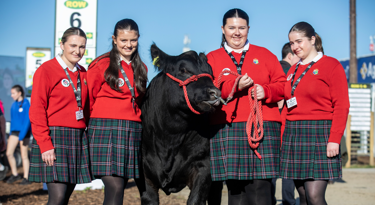 Certified Irish Angus finalists presented with calves at Ploughing 2024