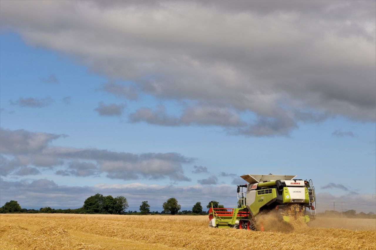 Harvest pics: Have you entered yet?