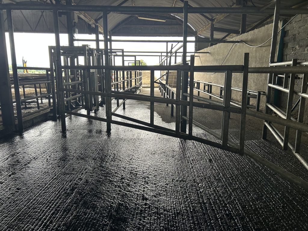 The drafting system on the farm, which are hooked up to Datamars' collars