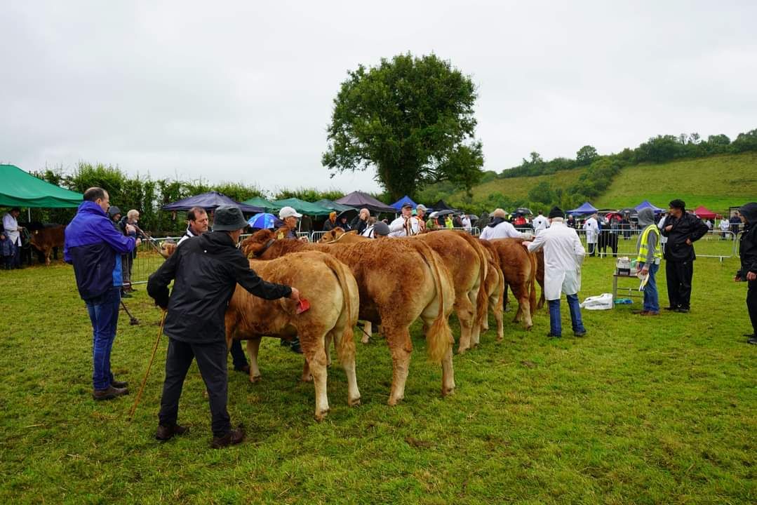 Prizes up to €6,000 at Cloone Agricultural Show