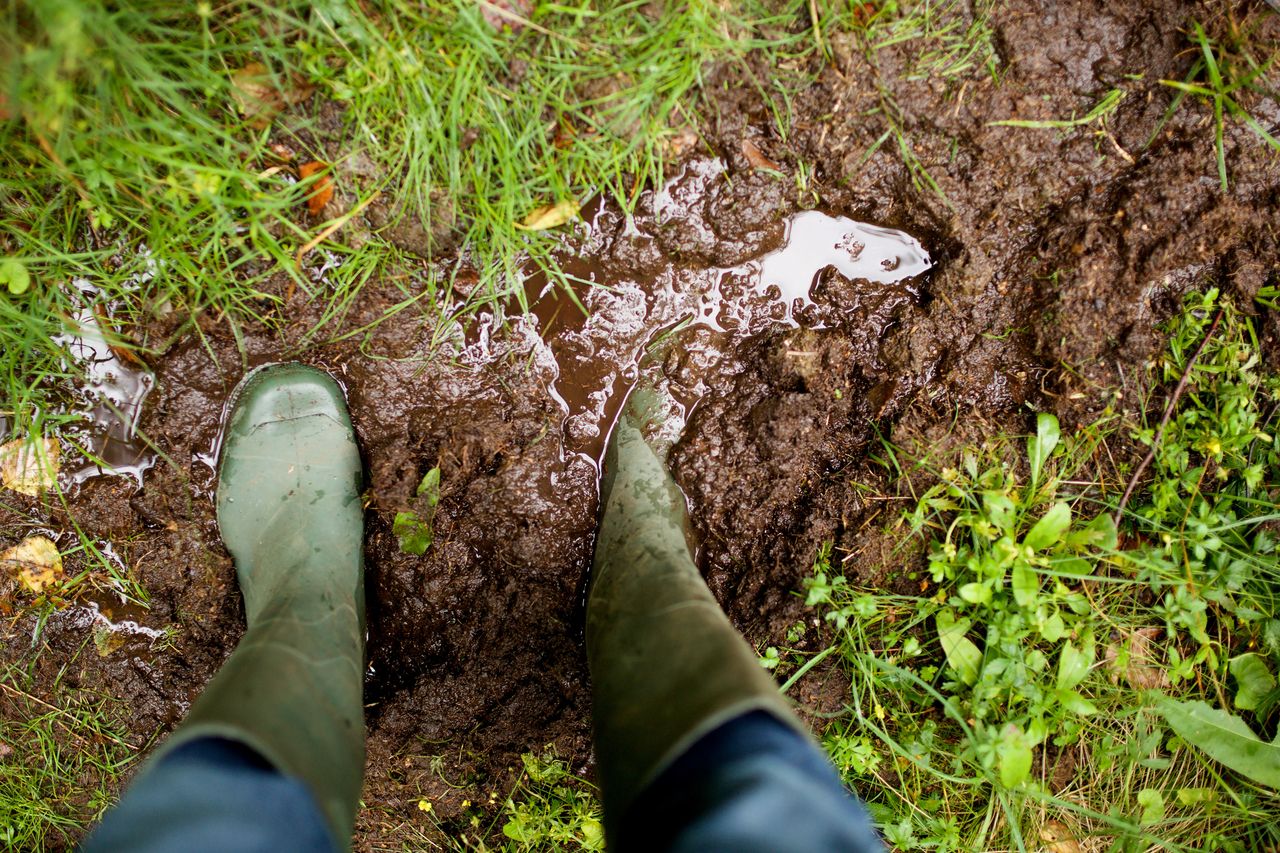 ACA: Farmers should contact advisors for weather impact plans