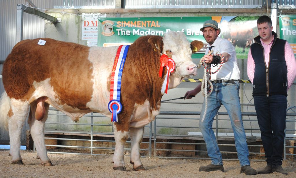 Clonagh Trident Fabulous pictured with Garrett Behan and judge Manus Connolly
