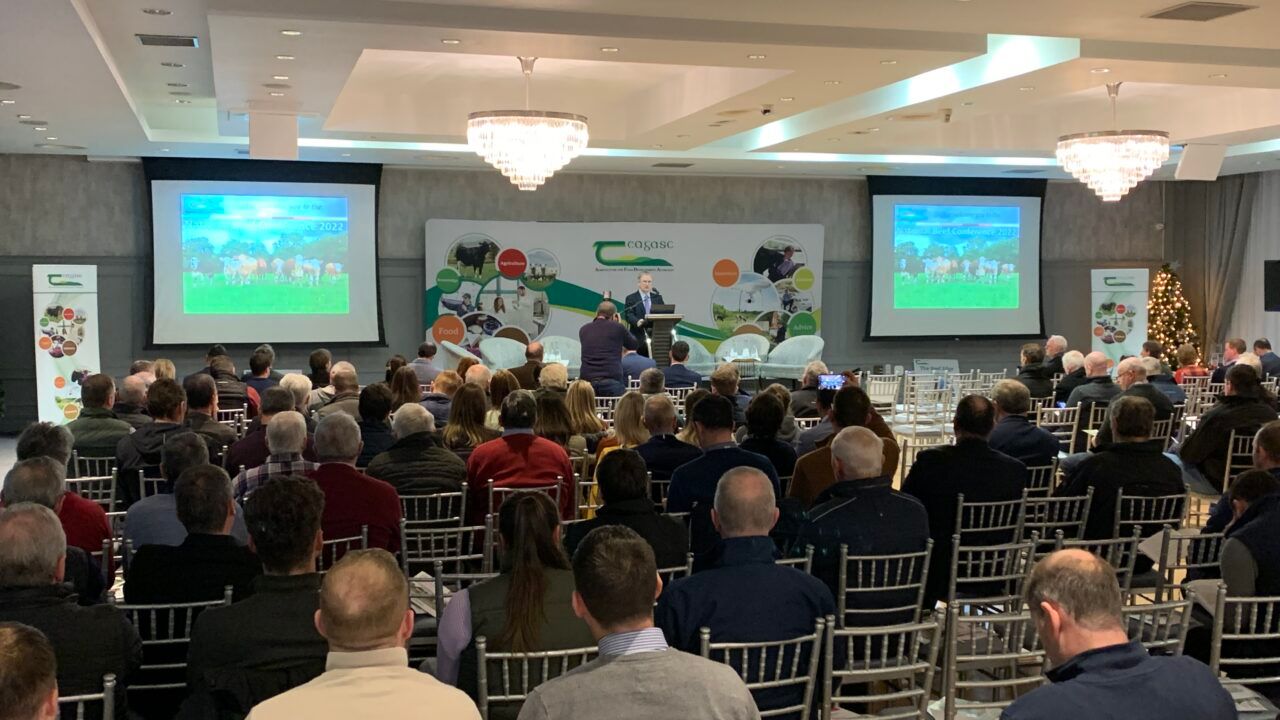 Beef farmers urged to attend National Beef Conference