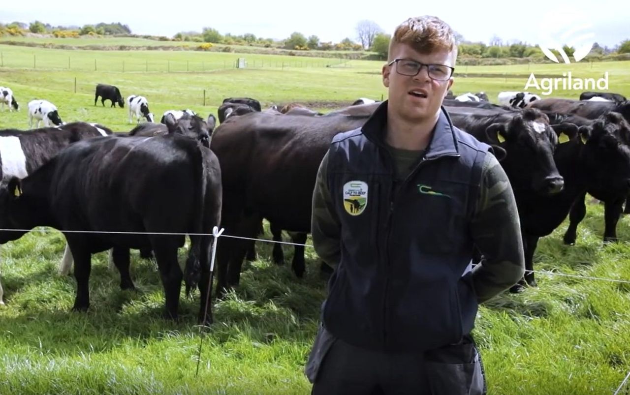 Virtual Farm Walk: Follow Jarlath Ruane as he runs through his calf-to-beef farm