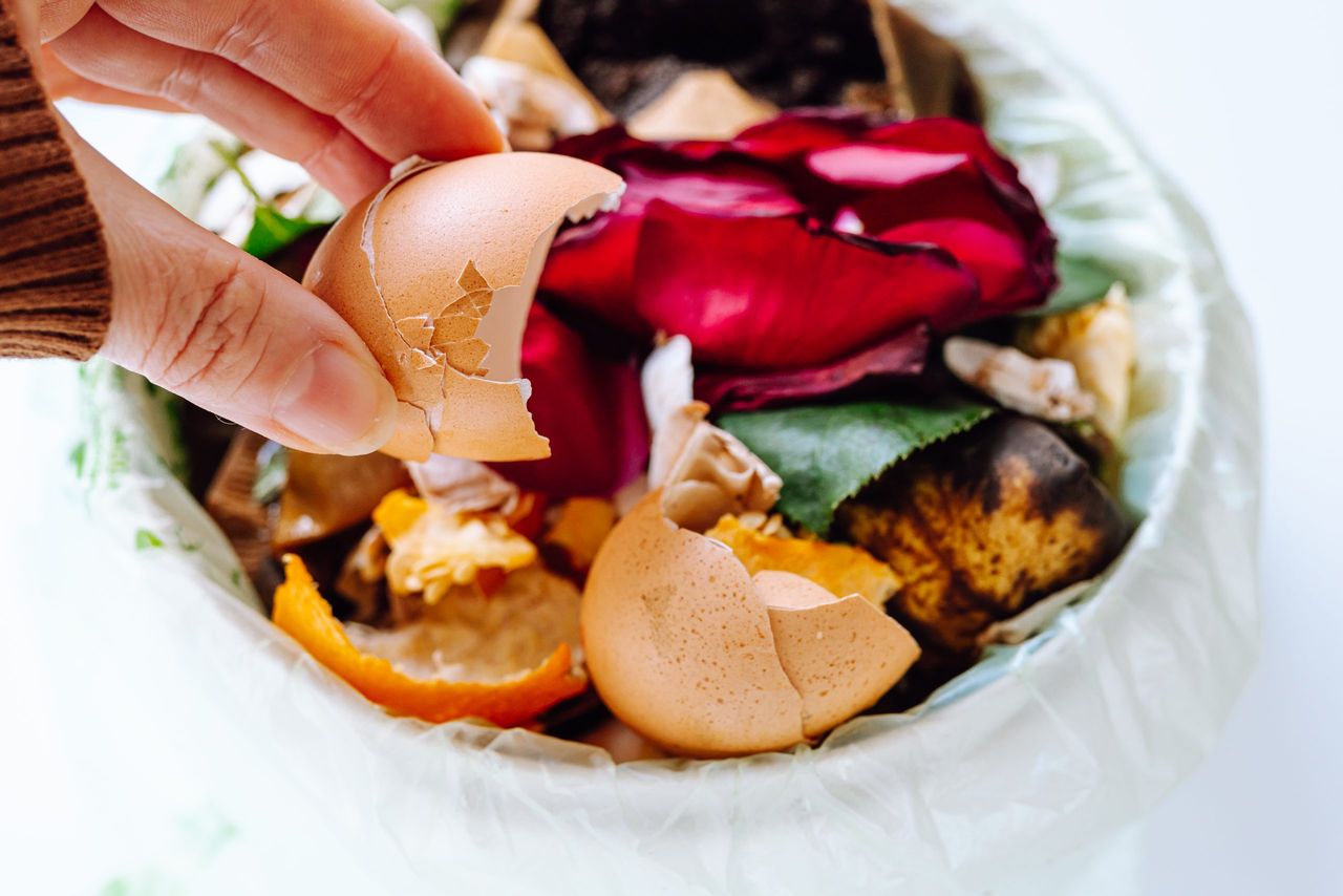 NGOs warn inaction on food waste is 'feeding climate change'