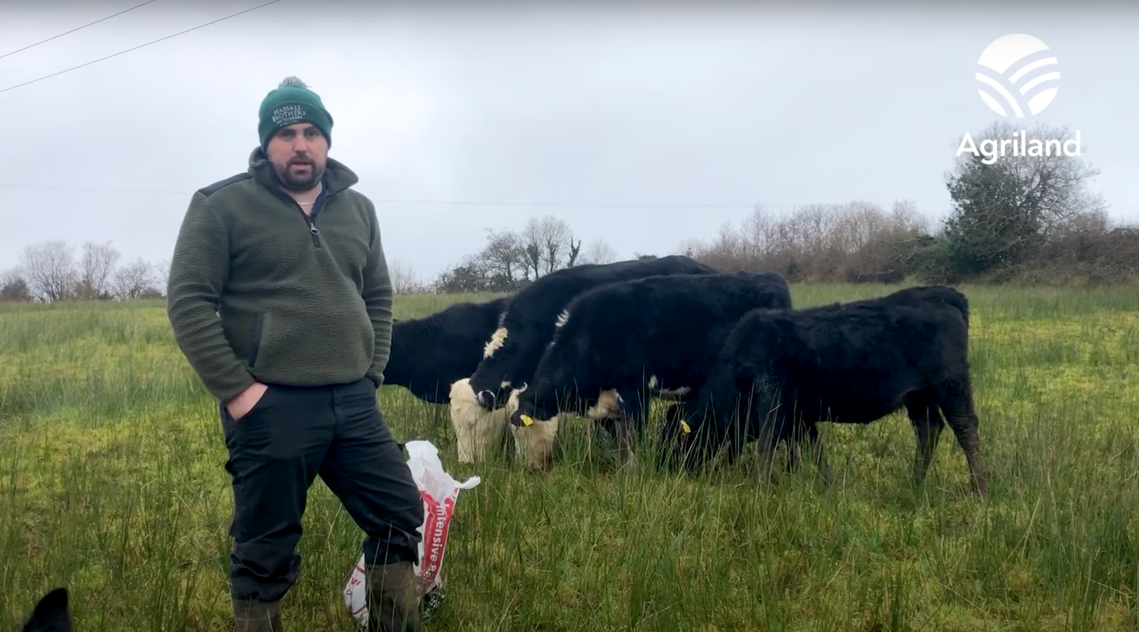 Beef Focus: Leitrim Macra chair's Drumkeerin suckler farm