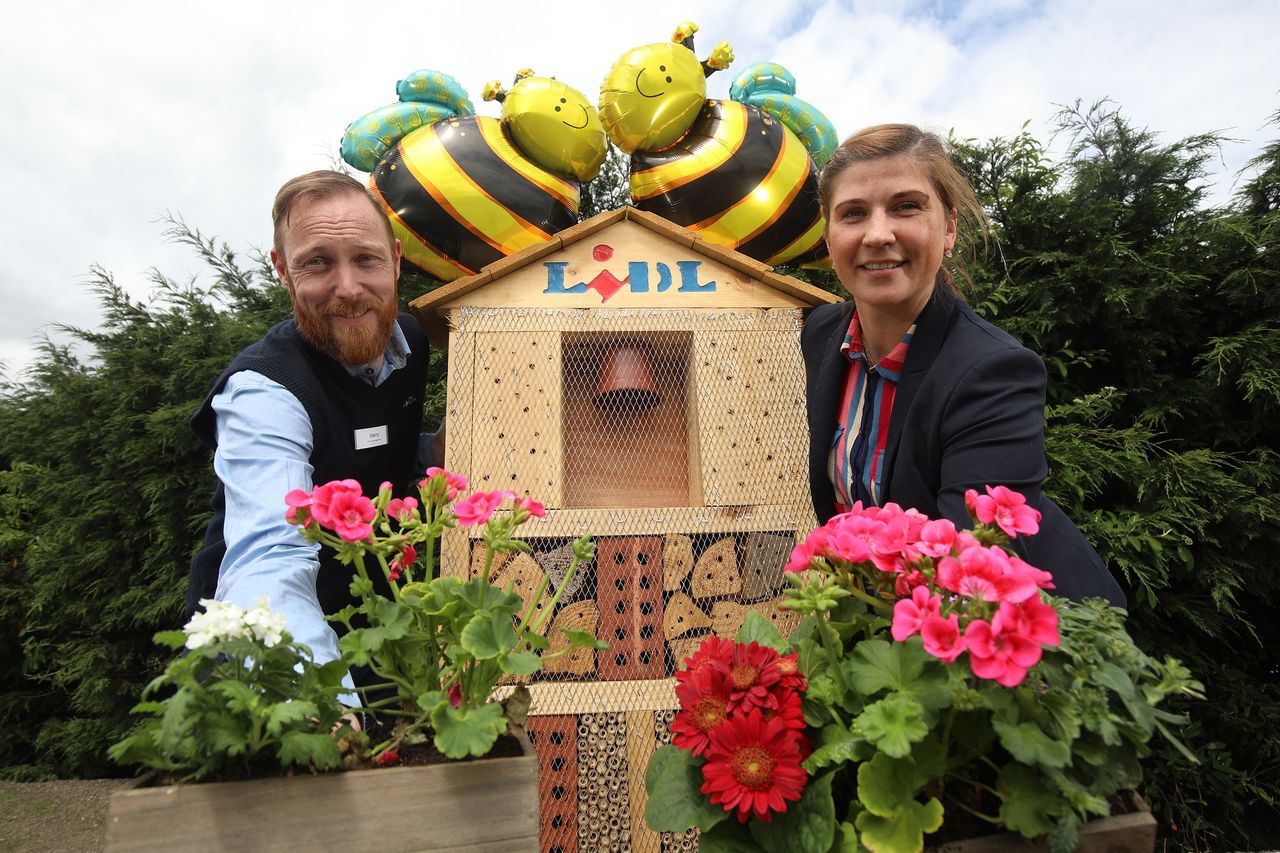 Lidl installs five new pollinator gardens at NI stores