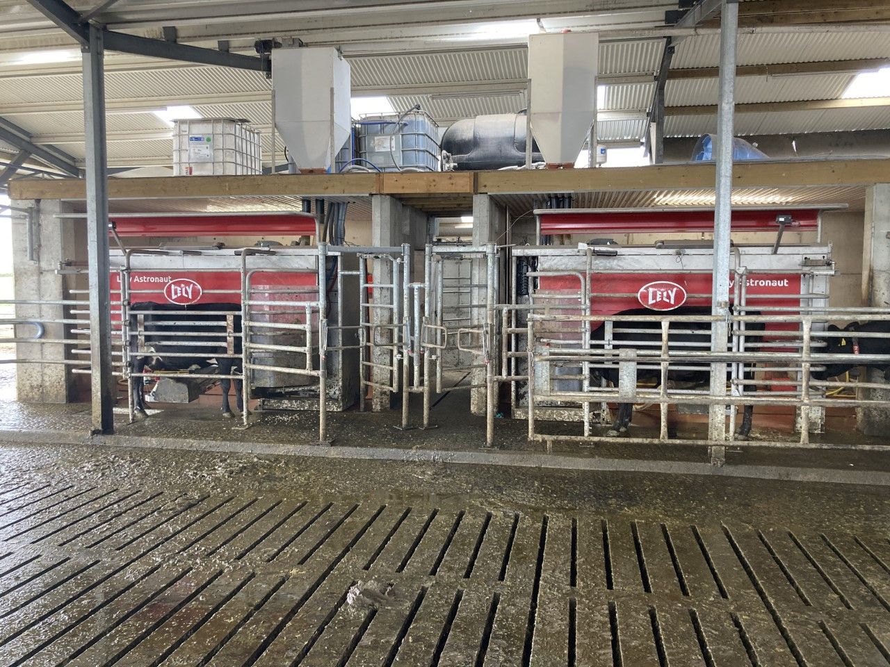 Budget 2023: Dairy and pig farms to benefit from energy supports