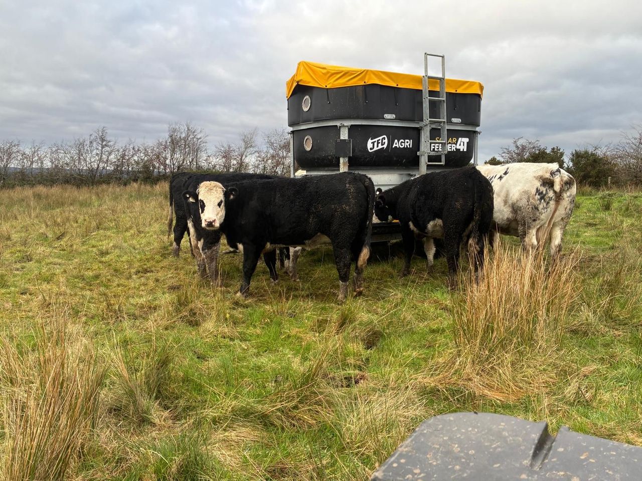 ABP Monitor Farm: Update from Sligo suckler-beef and sheep farm