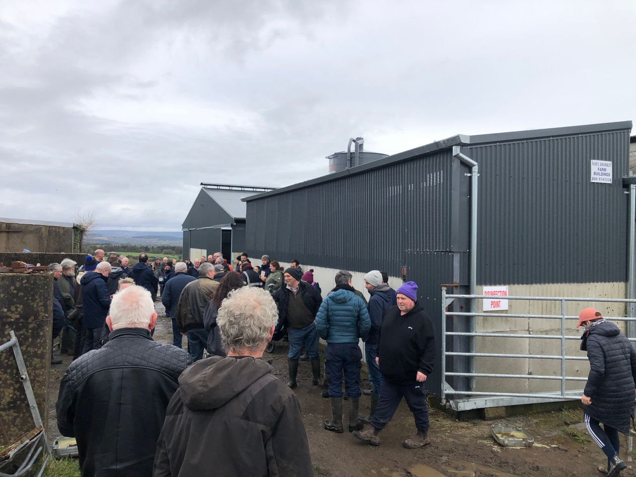 Organic suckler profitability discussed at event in Boyle