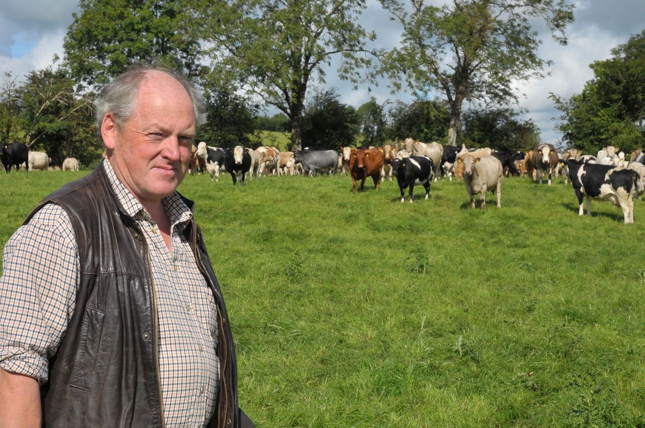 Vet urges vaccination of weanlings against pneumonia attack 