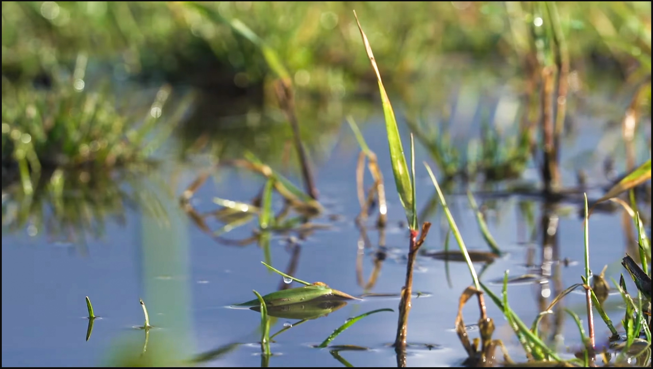 Climate adaptation funding below what is needed - report