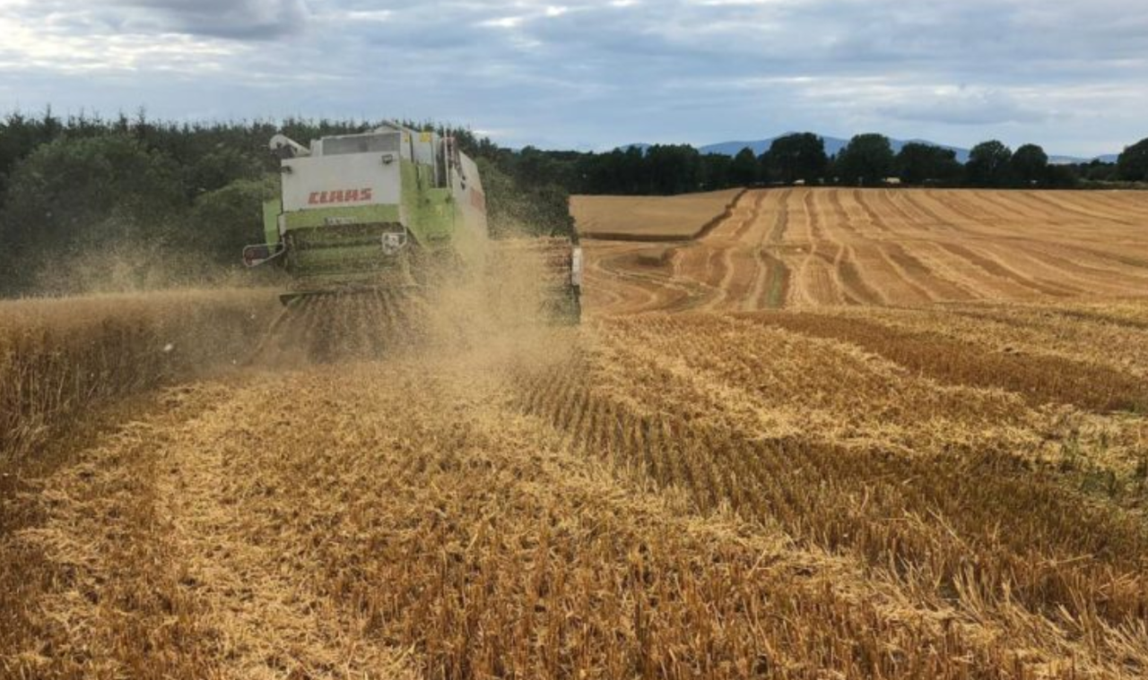 What is the value of chopped straw?