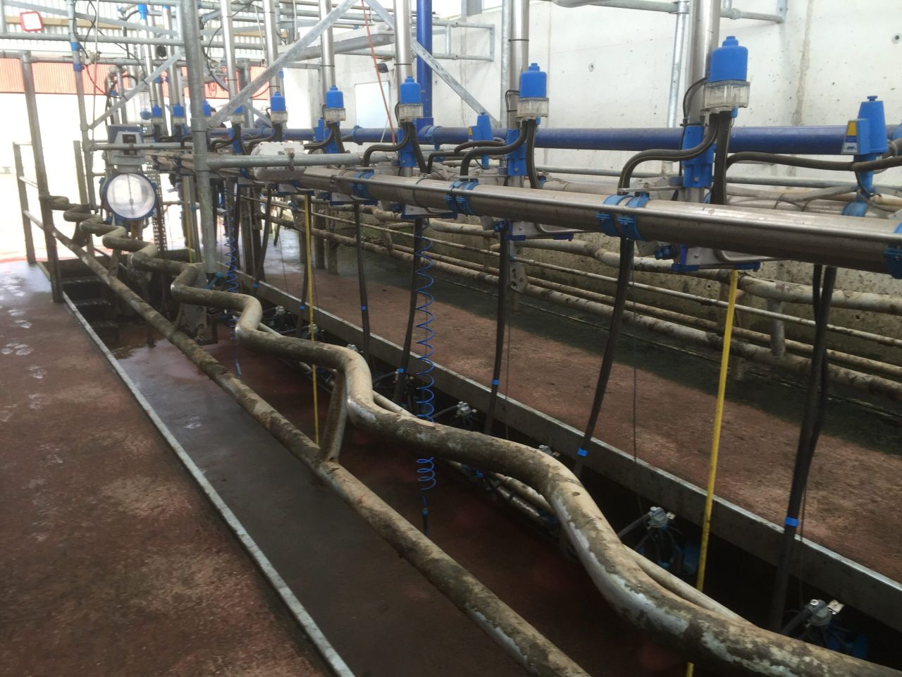 Dairy farmers 'getting fed up' with 'constant talking down' on price