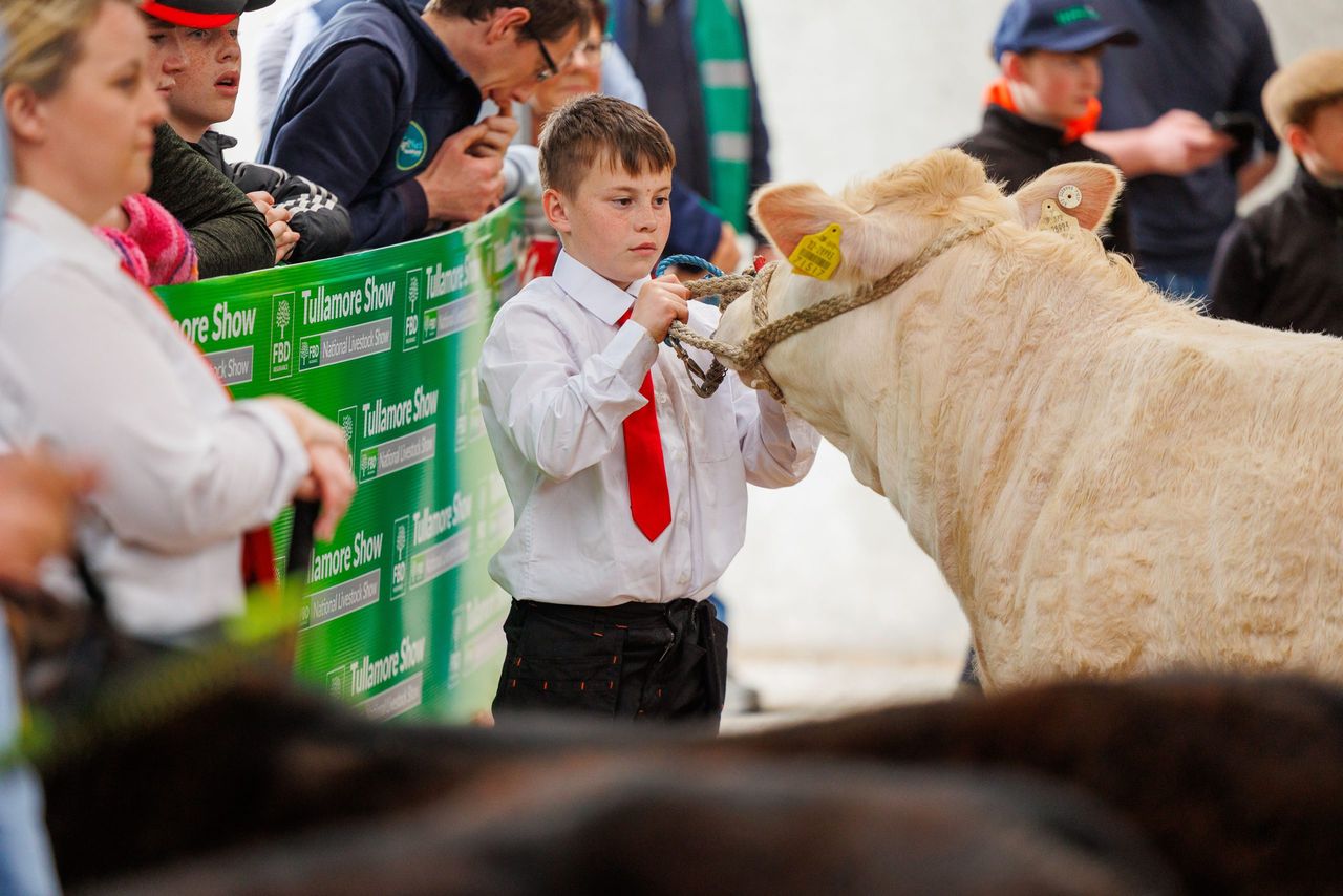 Tullamore Show young handlers' event set to return