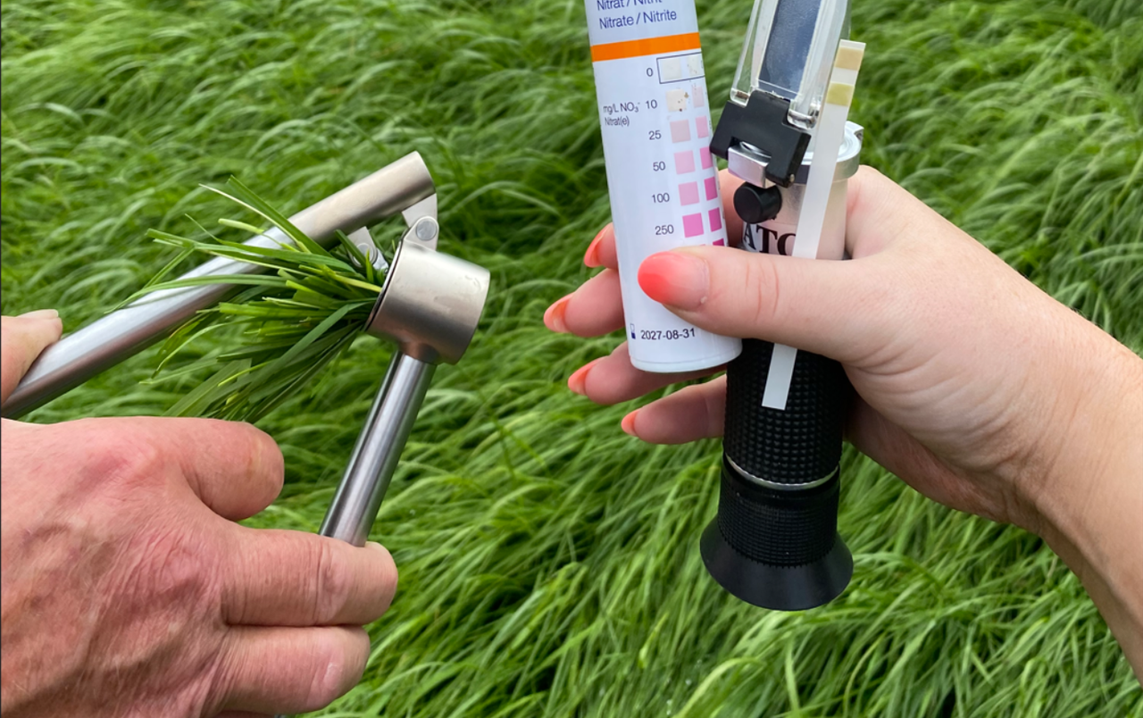 ABP Monitor Farm: Summer scour, silage, and cattle weight