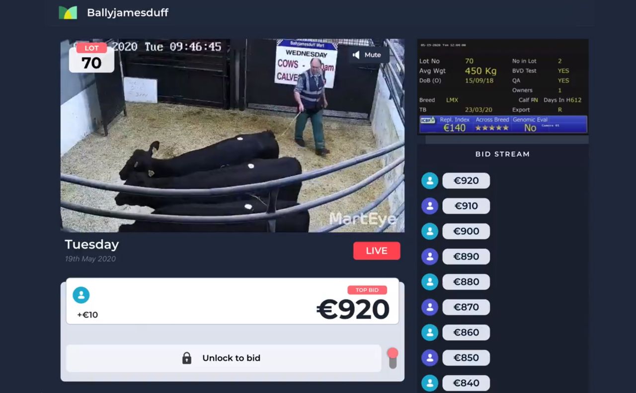 Ballyjamesduff Mart: How does the online sale work?