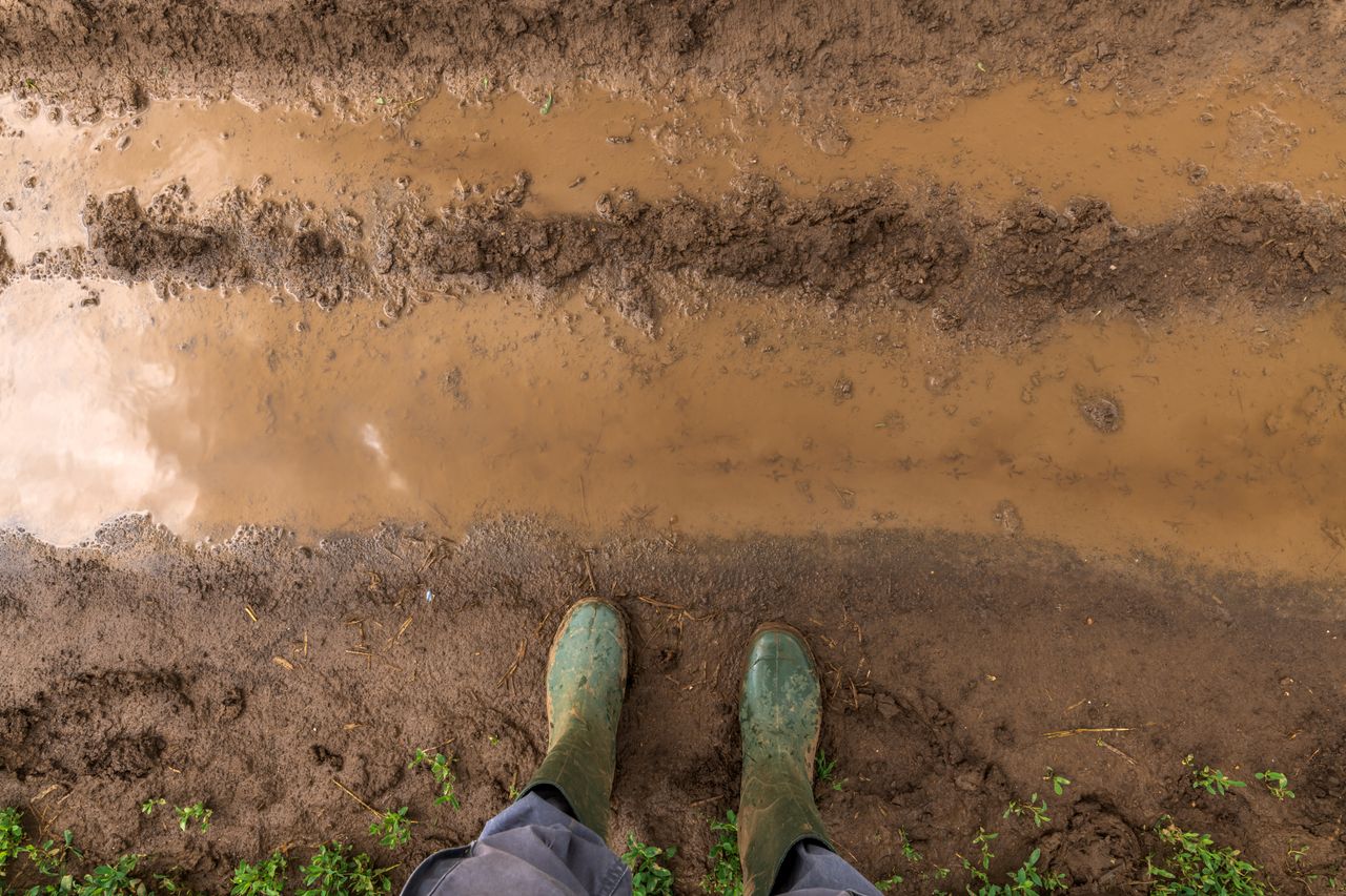 Minister urged to bring scheme for farmers who lose livestock in flooding