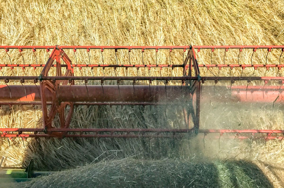 Facts and figures: The Irish tillage sector 2018