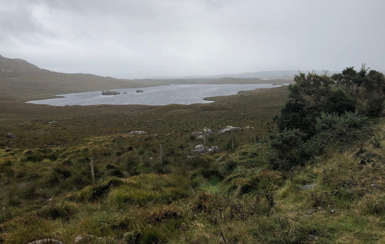 Connemara project offers free environmental management training