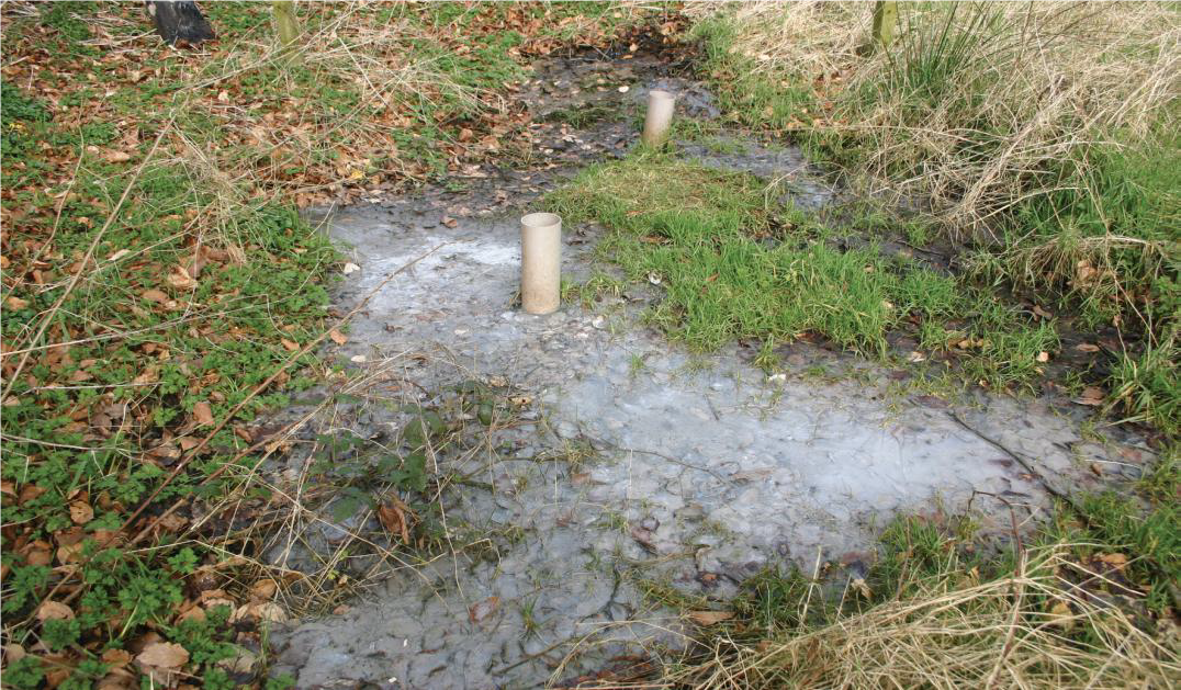 53% of septic tank systems failed inspection last year - EPA