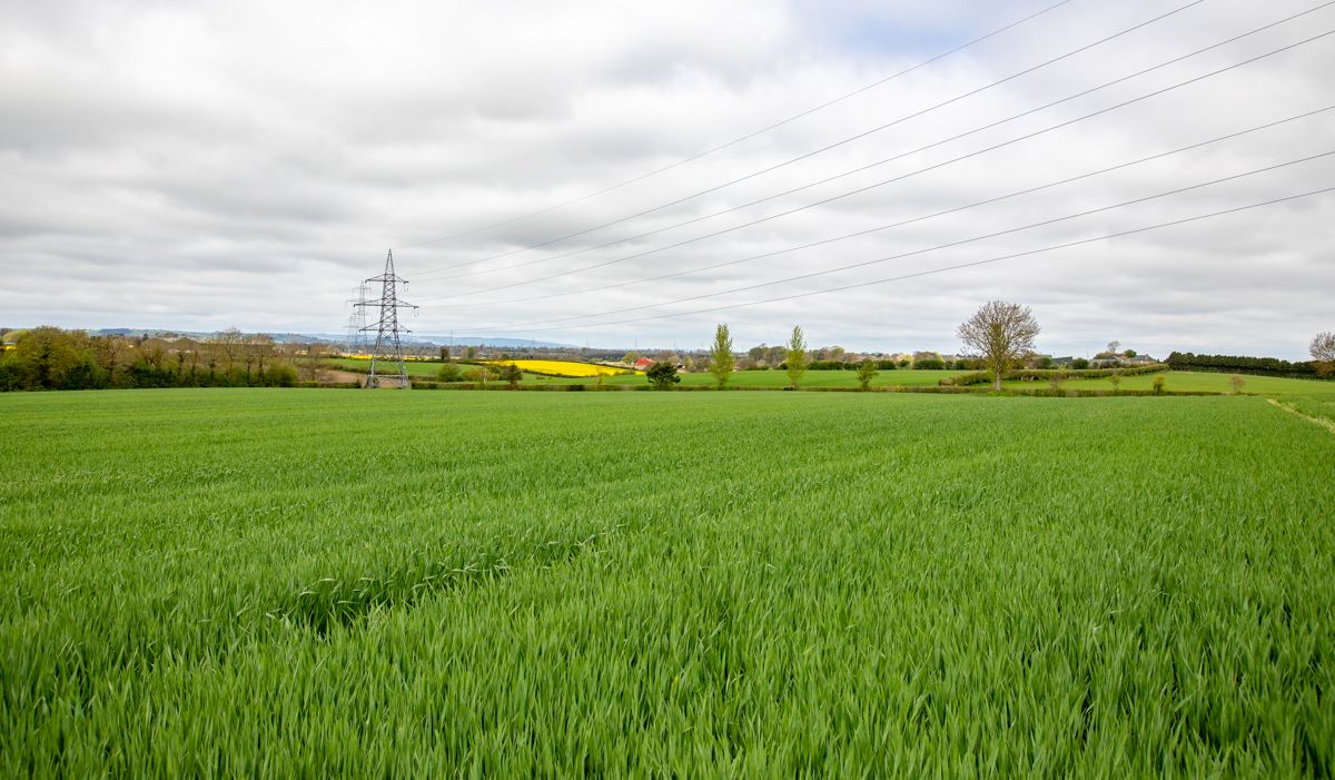 Report: Tillage production limited to about 7% of farm land