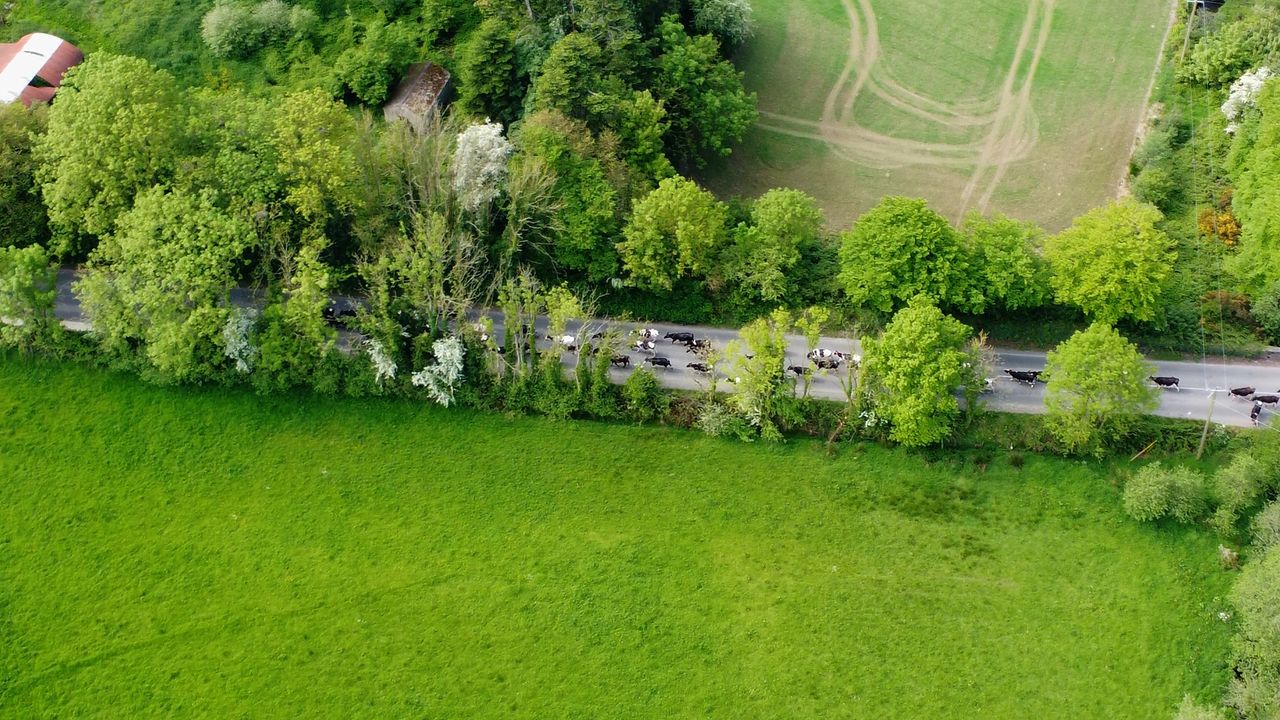 Land value expected to rise in 2024 - Sherry Fitz
