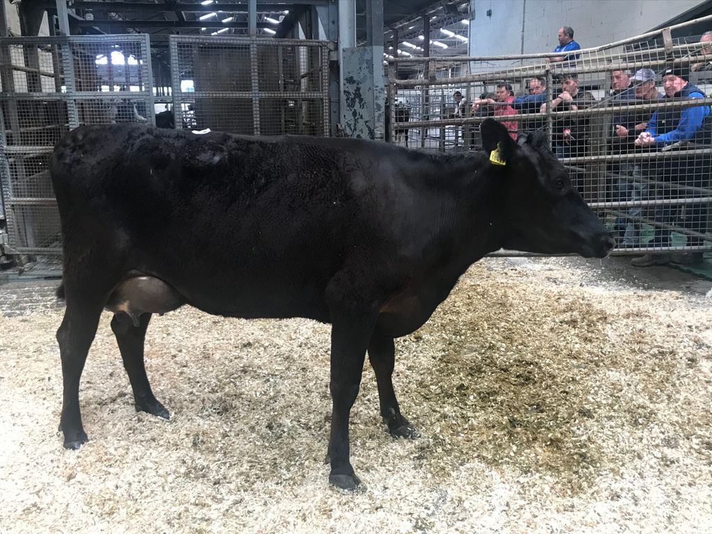 Lot 59: Sold for €2,400