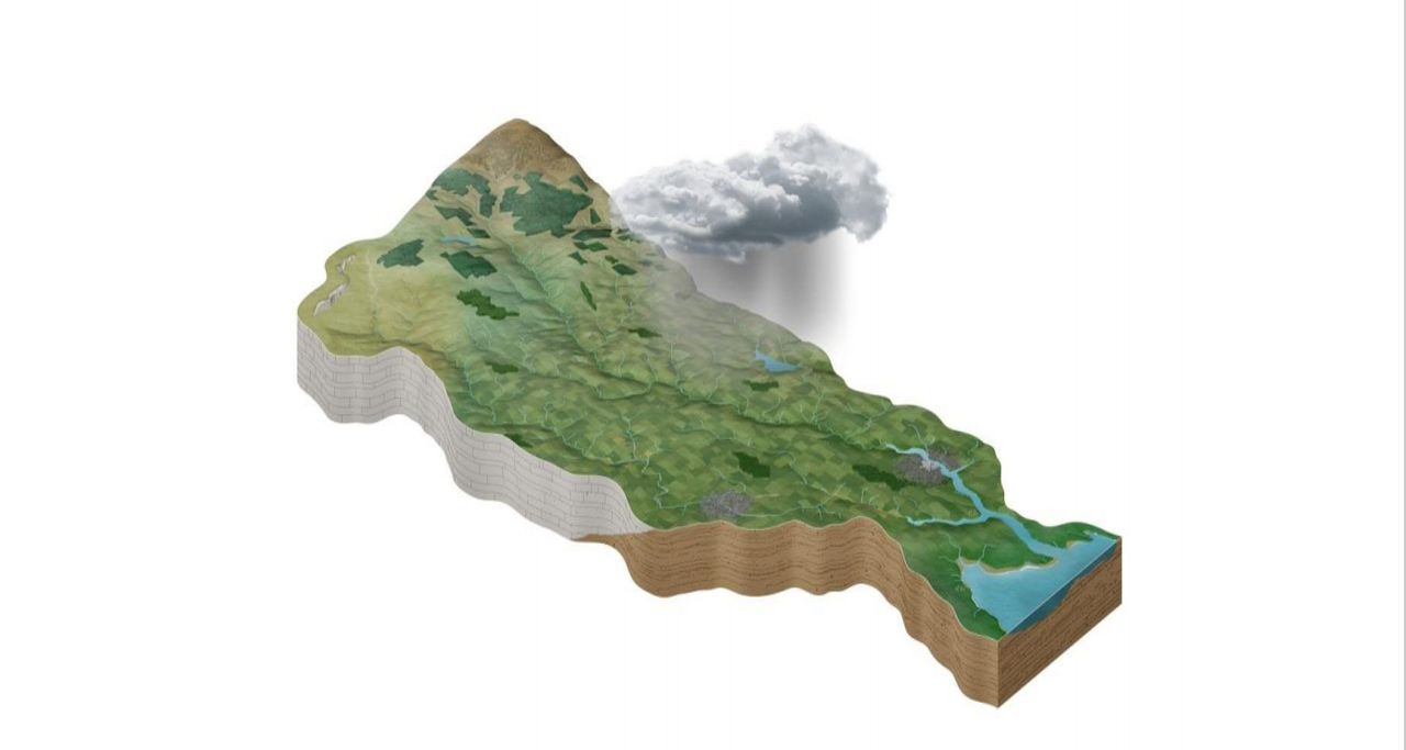 EPA report finds 85% nitrogen leakage to rural catchments caused by agriculture