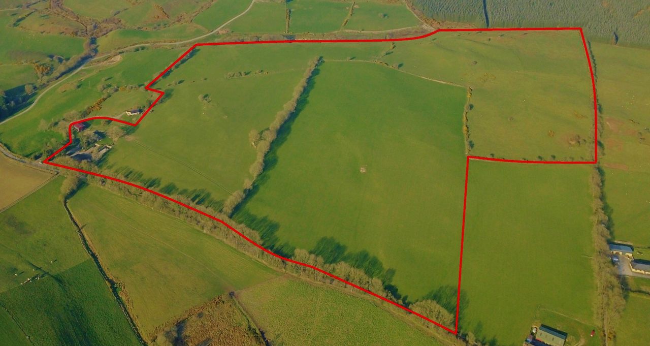 Kilbaylet land 'suited to all types of farming' for sale in lots