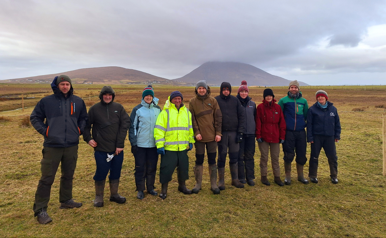 Farmers join project to reverse wader population decline on Achill