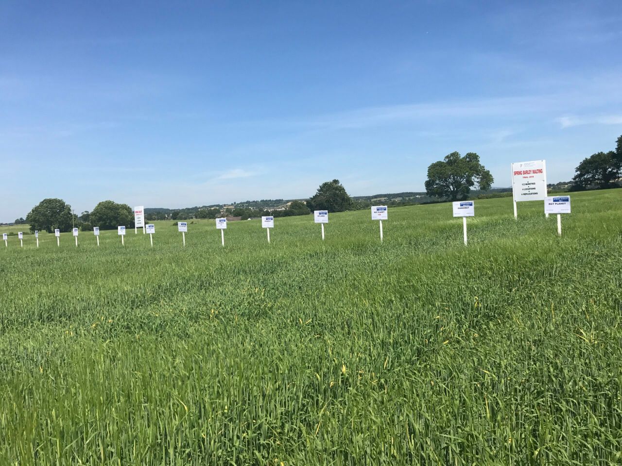 Big yield 'Prospect' at the top of the spring barley list