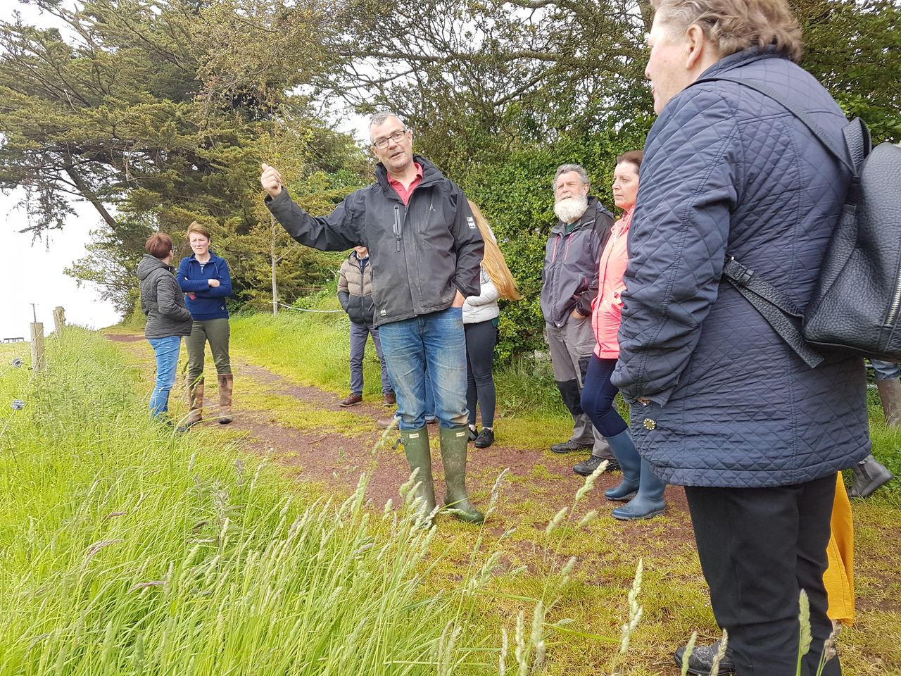 Limerick's Rockfield farm aims to stay social