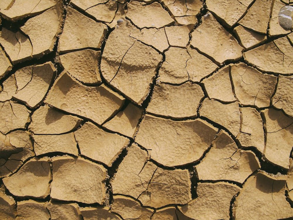Spain's ag minister requests EU crisis funds amid severe drought