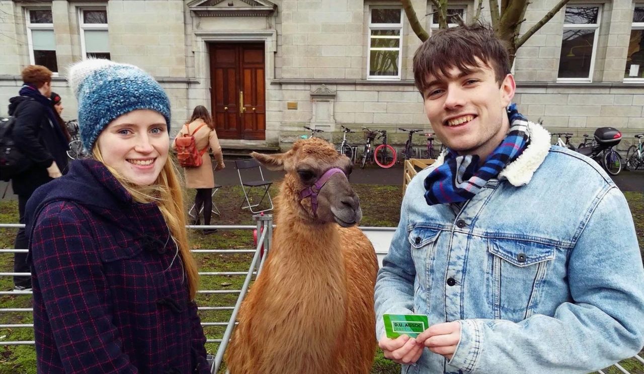 Trinity College's new agricultural society is like 'no udder'