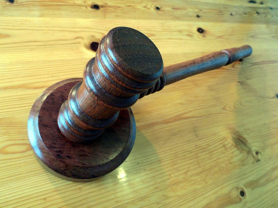 Breeding heifers donated to auction for Hooves for Hospice