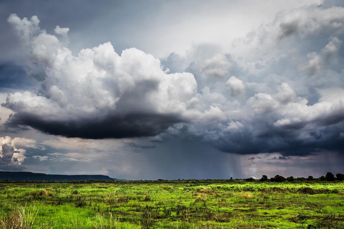 Weekend wind warning issued for west