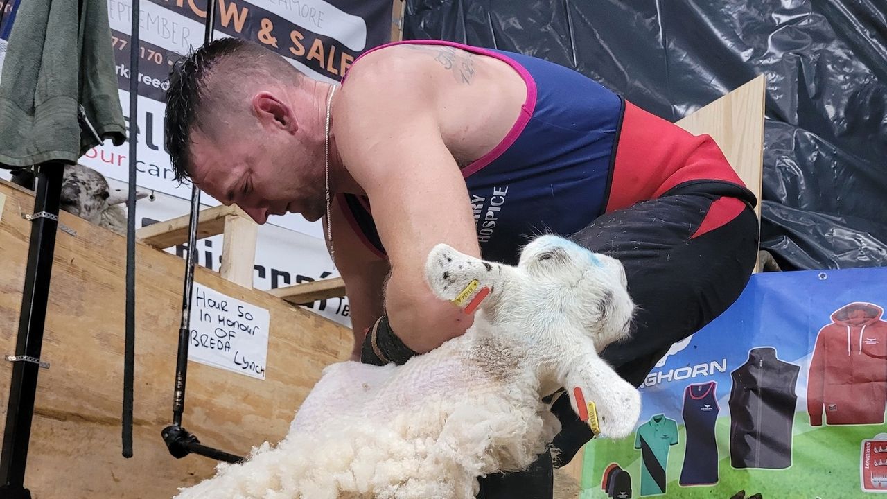 Kerry farmer raises €22,600 for charity in sheep shearing challenge