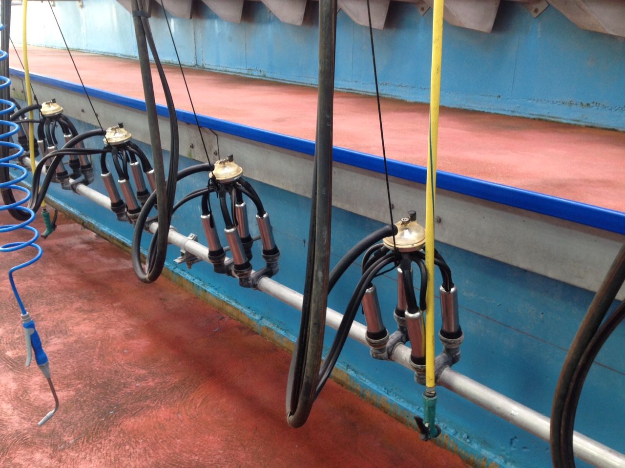 Dairy: GDT index sees slight increase in latest results