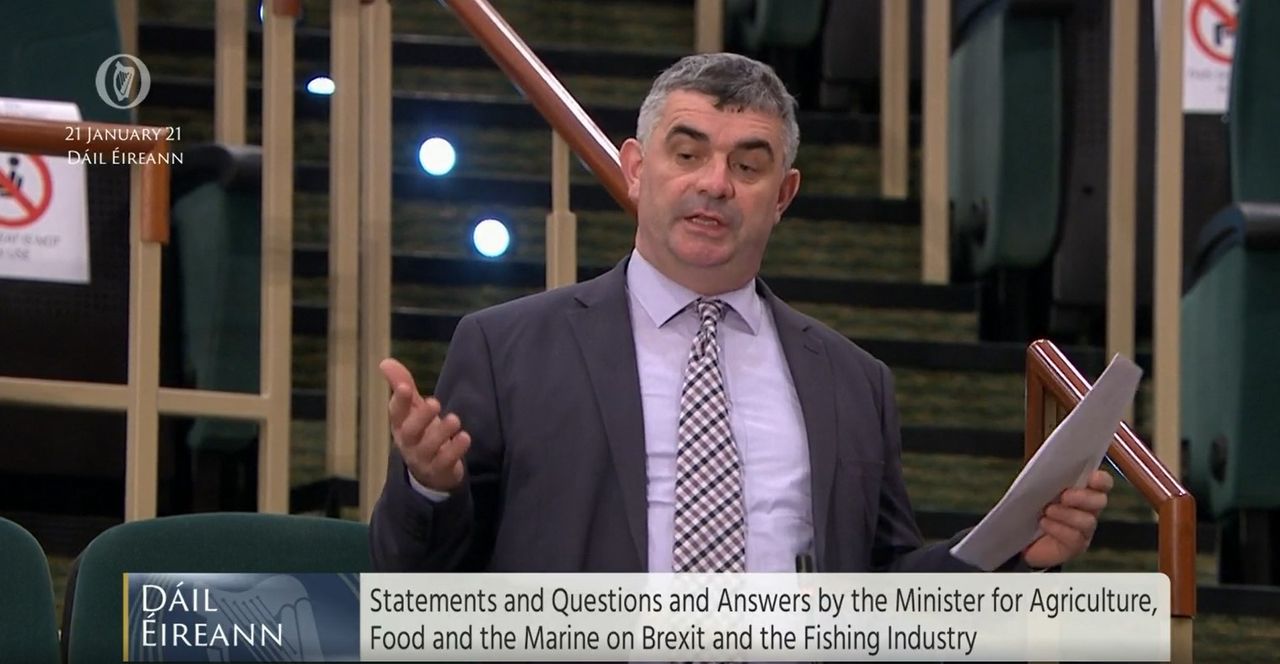 Government must intervene to end 'cartel-like system' in beef - O'Donoghue