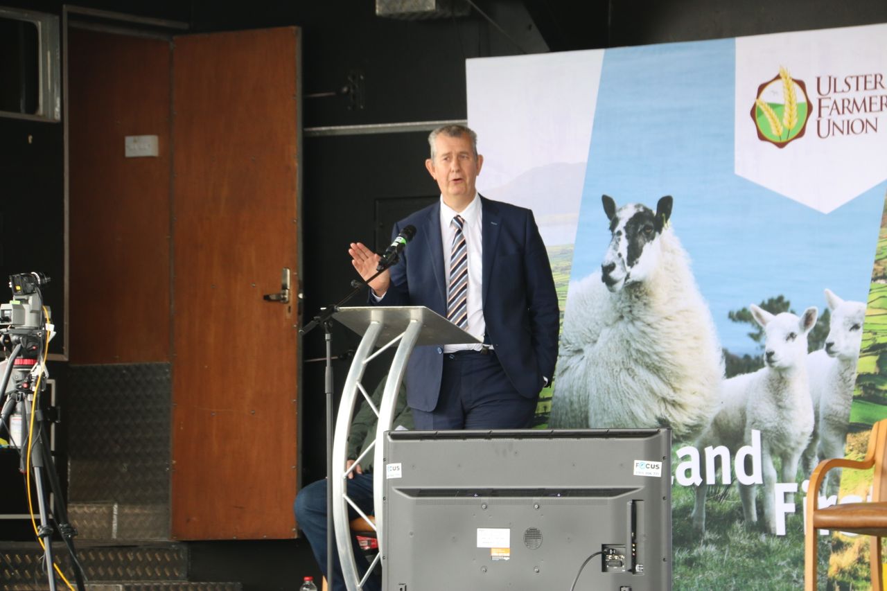 TB: Minister Poots hints at plans to propose NI badger cull in the autumn
