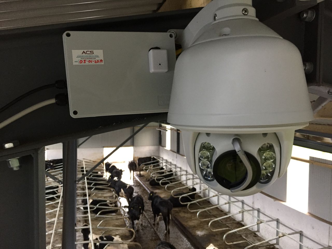 Future-proofing your farmyard: Installing calving cameras for the long haul