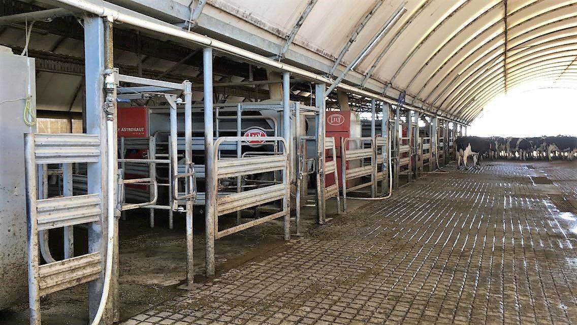 Pivots and milking with 8 robots in southern Australia