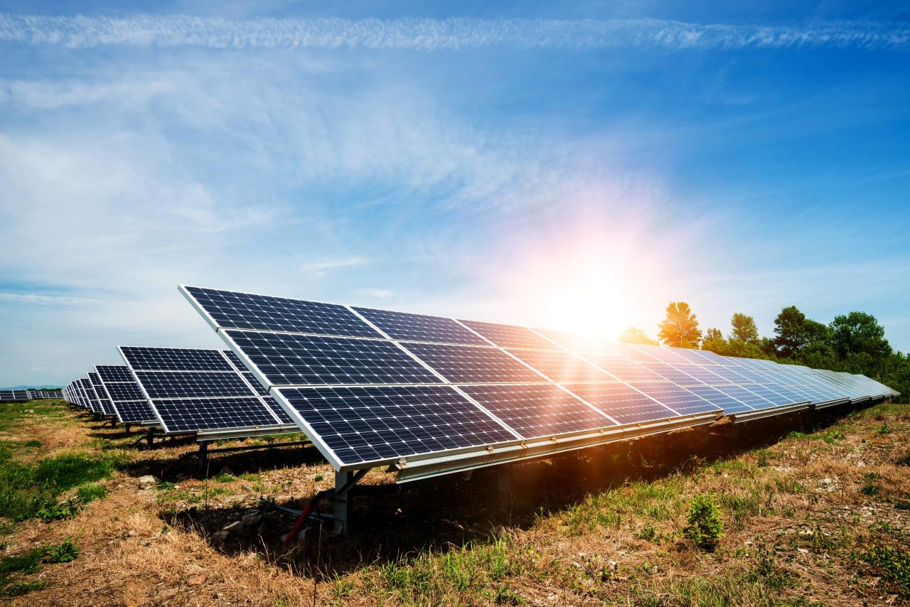 Goodman-owned organic meat producer objects to €30m solar farm