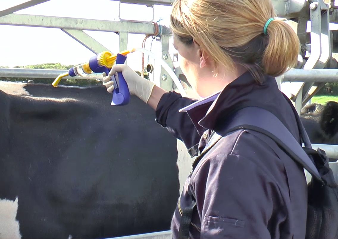Agriland and Boehringer Ingelheim launch series on smarter parasite control