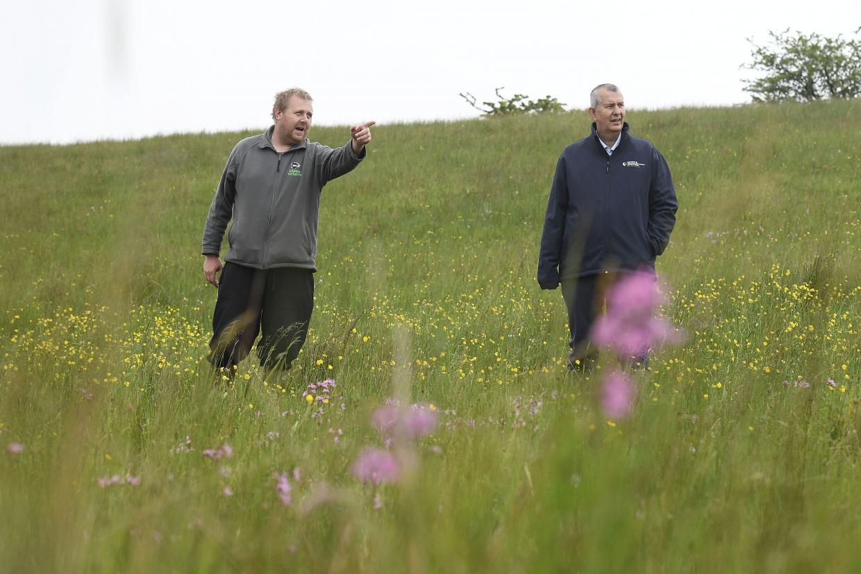 NI's second Climate Change Bill passes first stage at Stormont